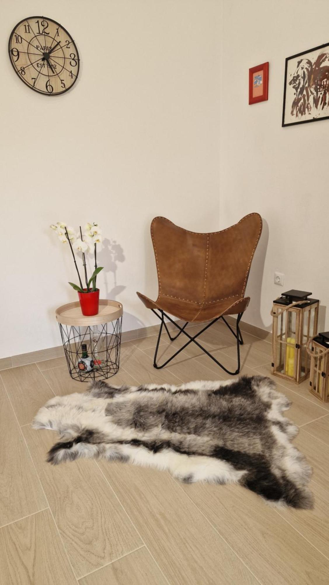 Apartmani Volga Petrčane Kültér fotó