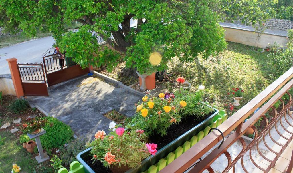 Apartmani Volga Petrčane Kültér fotó