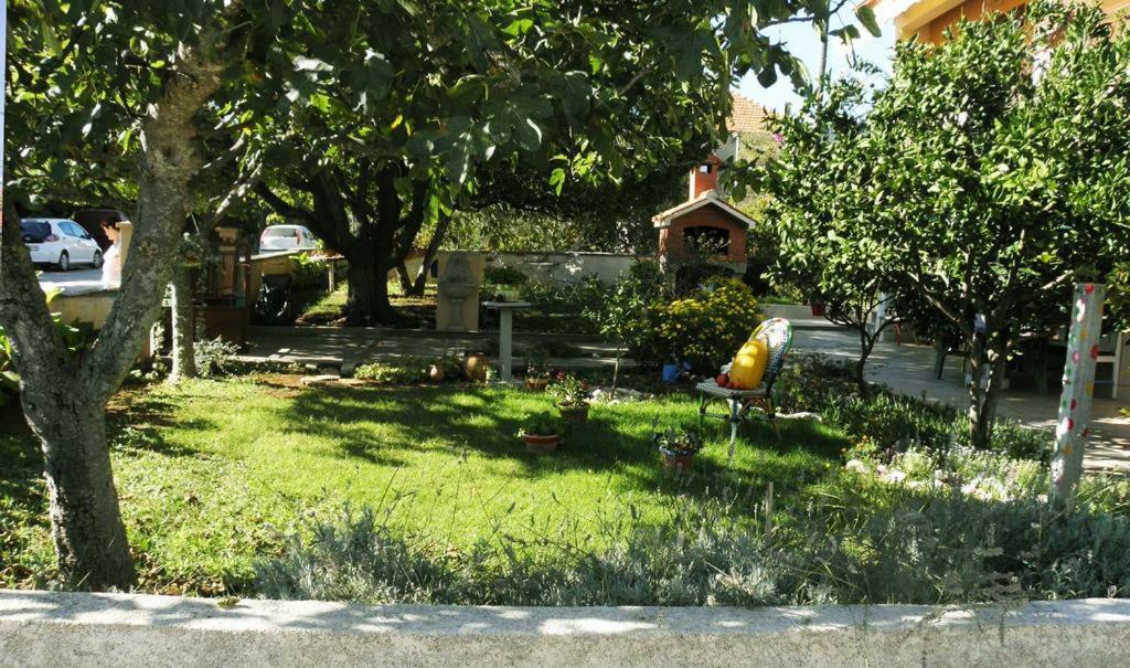 Apartmani Volga Petrčane Kültér fotó